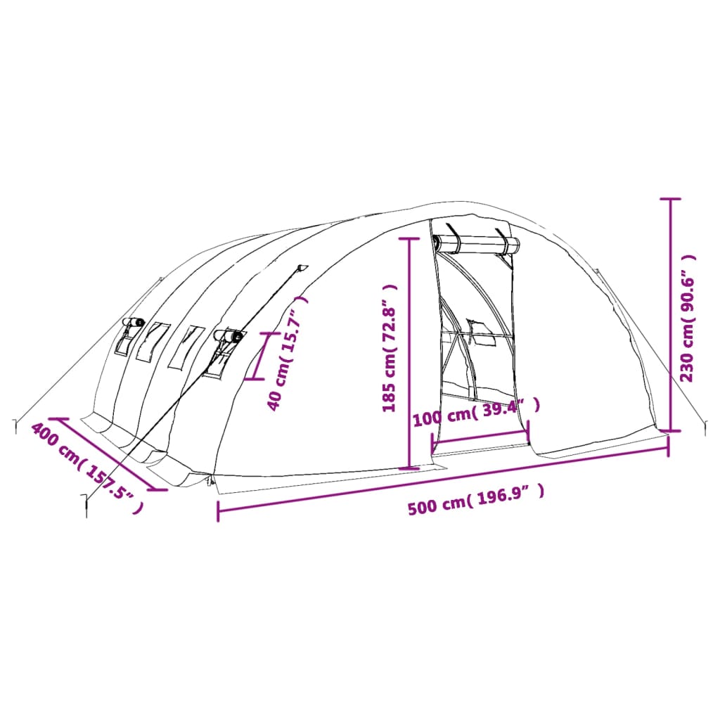 Seră Cu Cadru De Oțel, Ă, 20 M², 5X4X2,3 M