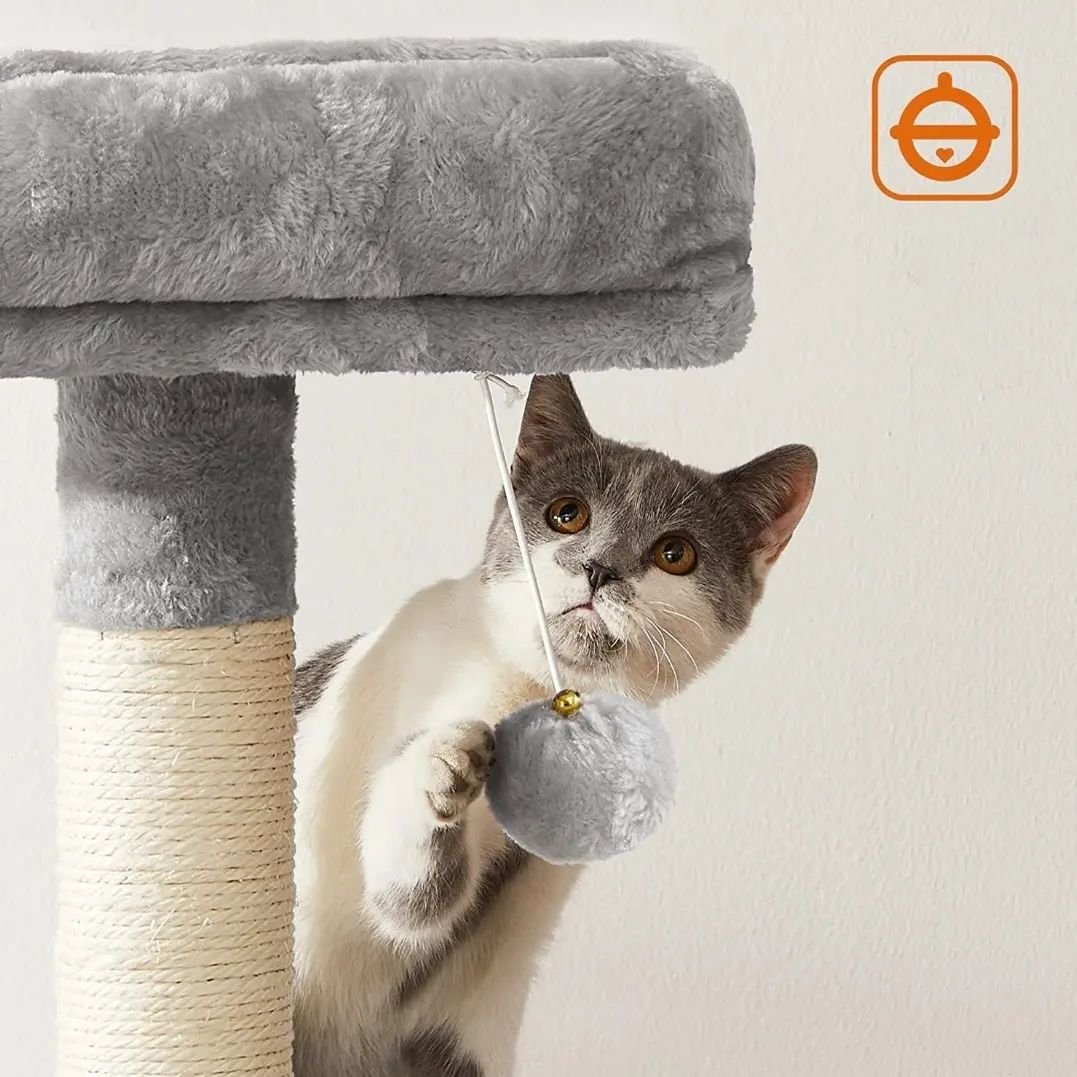 Ansamblu de Joacă pentru Pisici