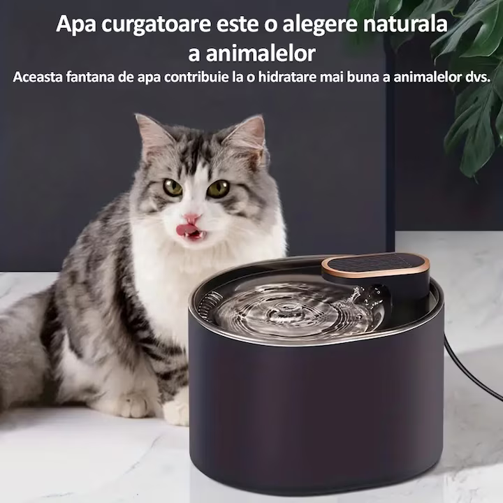 Fântână de apă pentru pisici și câini – 3L AIS005