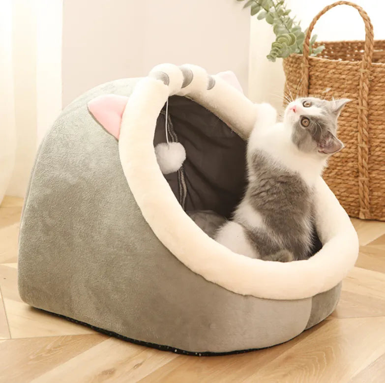 Patut Dragut pentru Pisicut